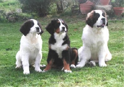 des trois a de plaisance